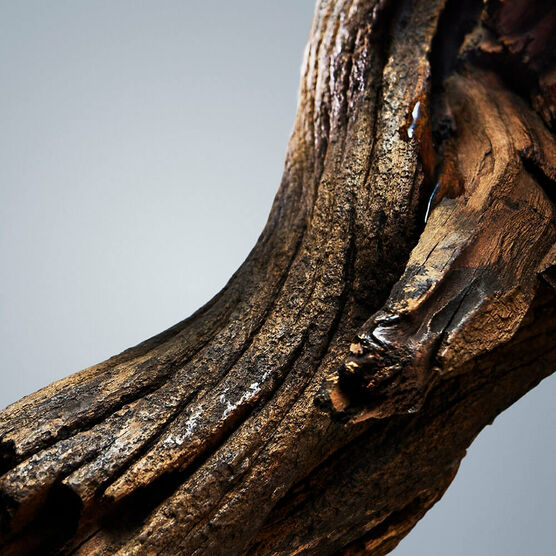 BOSS       HOMME         EDTV 100ML